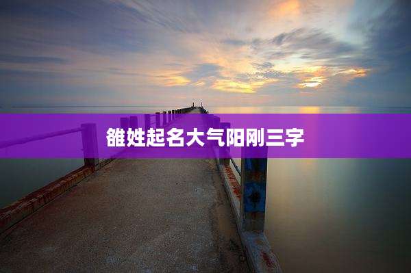 雒姓起名大气阳刚三字
