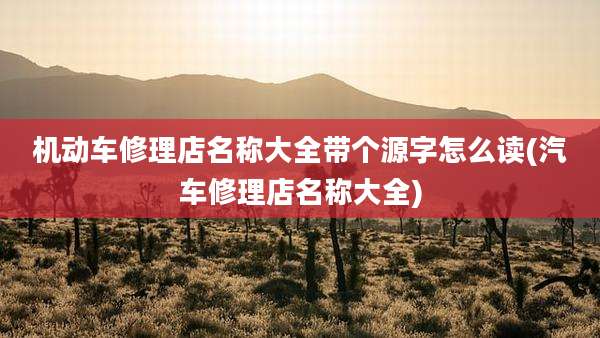 机动车修理店名称大全带个源字怎么读(汽车修理店名称大全)