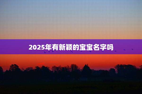 2025年有新颖的宝宝名字吗