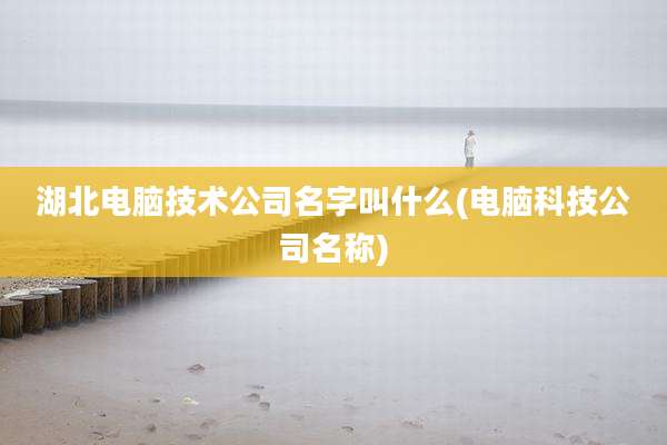 湖北电脑技术公司名字叫什么(电脑科技公司名称)