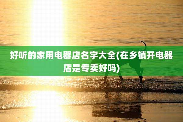 好听的家用电器店名字大全(在乡镇开电器店是专卖好吗)