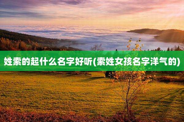 姓索的起什么名字好听(索姓女孩名字洋气的)