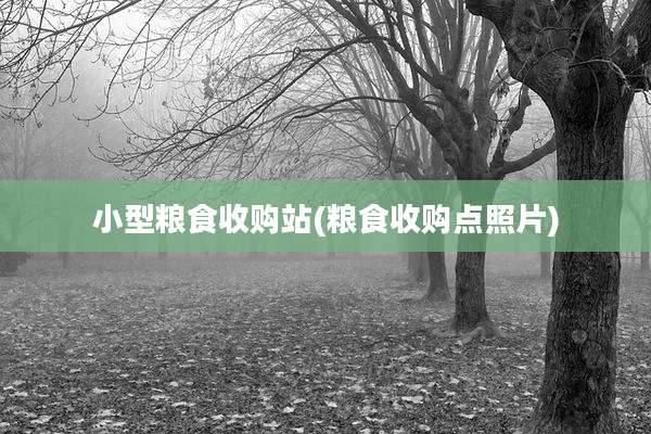 小型粮食收购站(粮食收购点照片)
