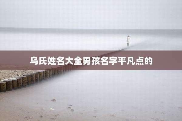 乌氏姓名大全男孩名字平凡点的
