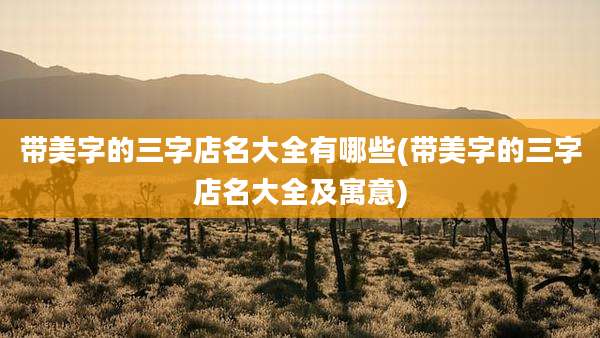 带美字的三字店名大全有哪些(带美字的三字店名大全及寓意)