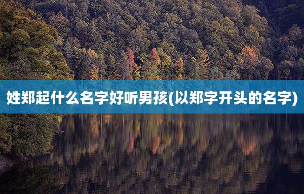 姓郑起什么名字好听男孩(以郑字开头的名字)