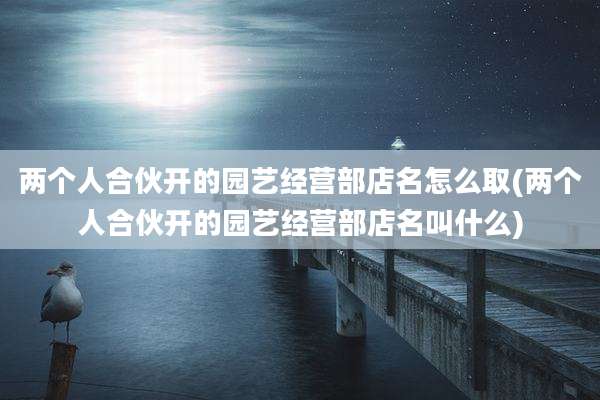 两个人合伙开的园艺经营部店名怎么取(两个人合伙开的园艺经营部店名叫什么)