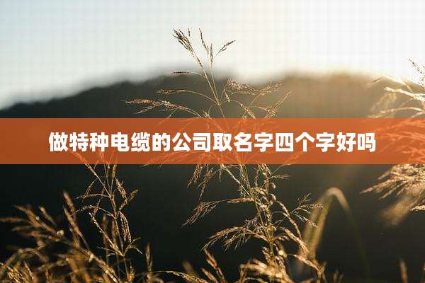 做特种电缆的公司取名字四个字好吗