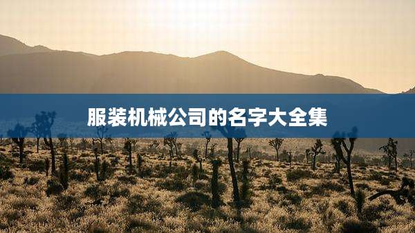 服装机械公司的名字大全集