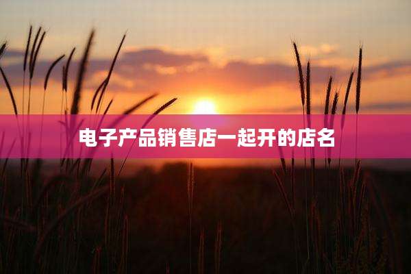 电子产品销售店一起开的店名