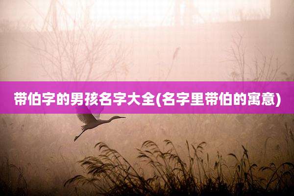带伯字的男孩名字大全(名字里带伯的寓意)