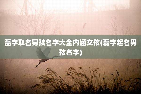 磊字取名男孩名字大全内涵女孩(磊字起名男孩名字)