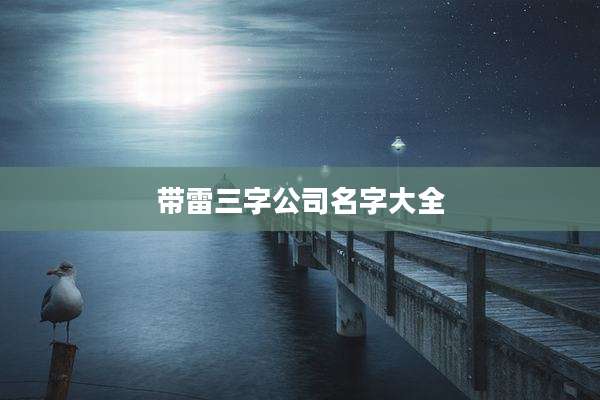 带雷三字公司名字大全