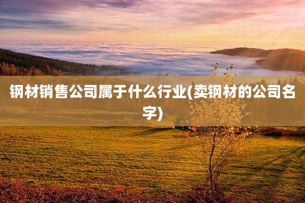 钢材销售公司属于什么行业(卖钢材的公司名字)
