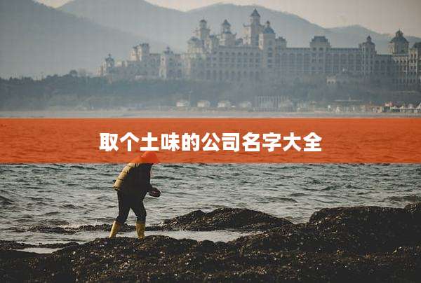 取个土味的公司名字大全