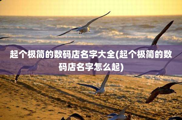 起个极简的数码店名字大全(起个极简的数码店名字怎么起)