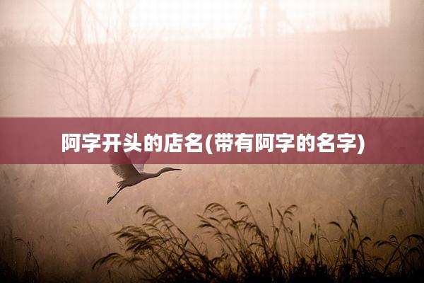 阿字开头的店名(带有阿字的名字)