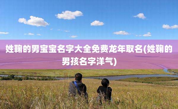 姓鞠的男宝宝名字大全免费龙年取名(姓鞠的男孩名字洋气)
