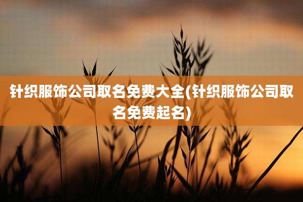针织服饰公司取名免费大全(针织服饰公司取名免费起名)
