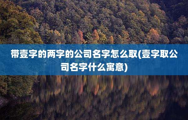 带壹字的两字的公司名字怎么取(壹字取公司名字什么寓意)