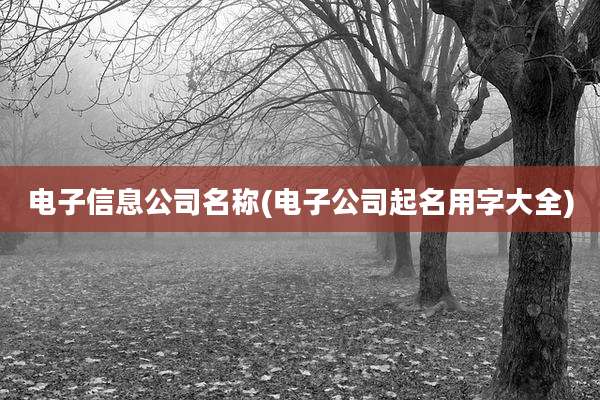 电子信息公司名称(电子公司起名用字大全)