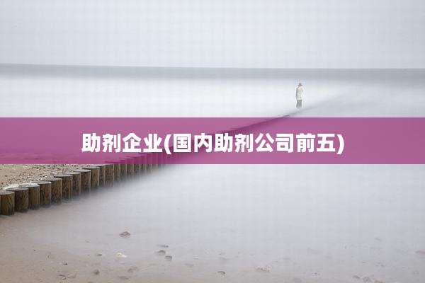 助剂企业(国内助剂公司前五)