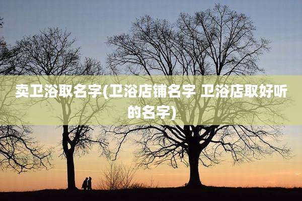 卖卫浴取名字(卫浴店铺名字 卫浴店取好听的名字)