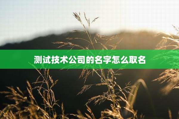 测试技术公司的名字怎么取名