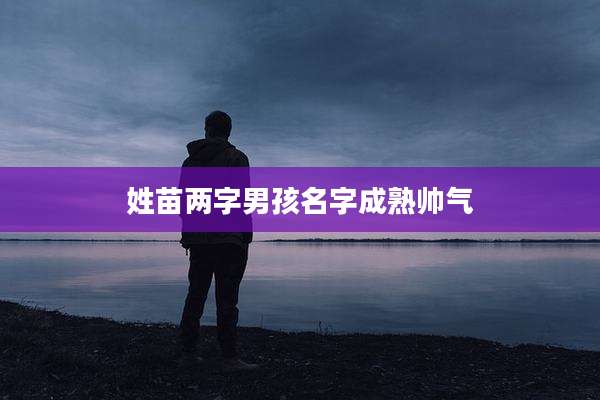 姓苗两字男孩名字成熟帅气