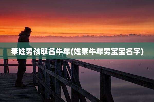 秦姓男孩取名牛年(姓秦牛年男宝宝名字)
