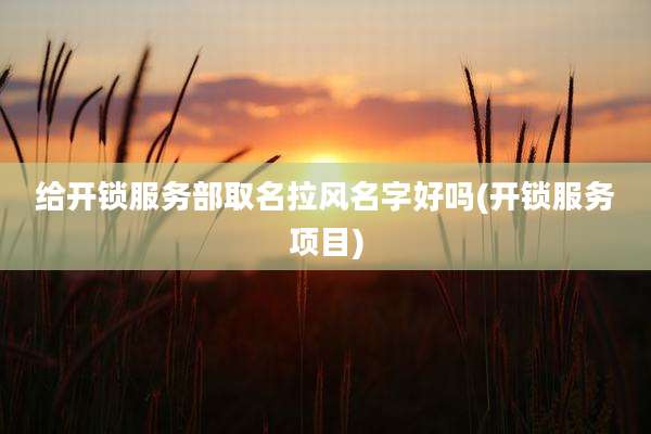 给开锁服务部取名拉风名字好吗(开锁服务项目)