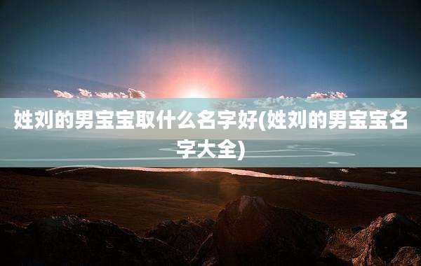 姓刘的男宝宝取什么名字好(姓刘的男宝宝名字大全)