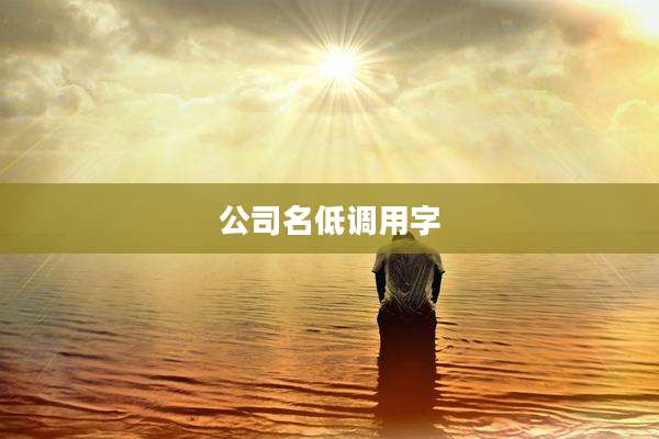 公司名低调用字