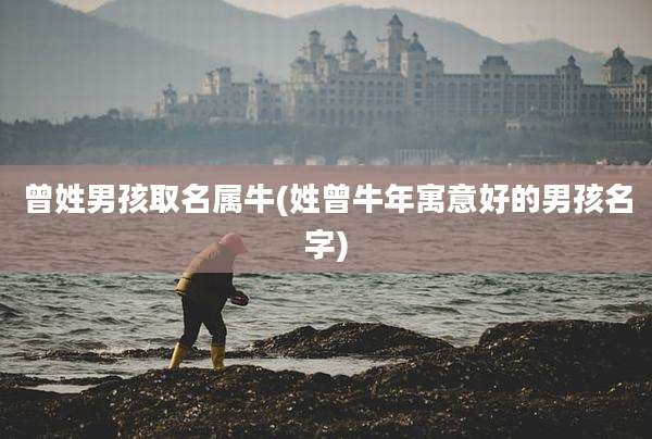 曾姓男孩取名属牛(姓曾牛年寓意好的男孩名字)