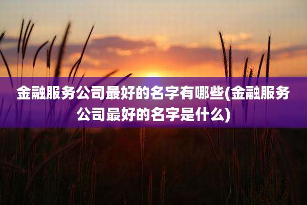 金融服务公司最好的名字有哪些(金融服务公司最好的名字是什么)