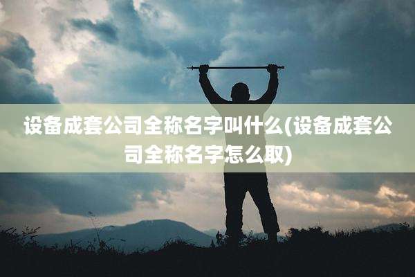 设备成套公司全称名字叫什么(设备成套公司全称名字怎么取)