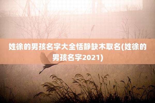 姓徐的男孩名字大全恬静缺木取名(姓徐的男孩名字2021)