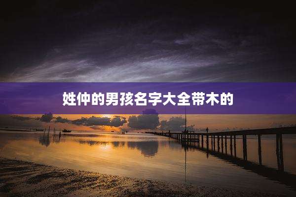 姓仲的男孩名字大全带木的