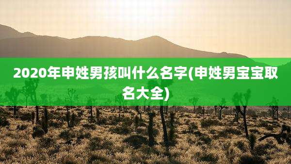 2020年申姓男孩叫什么名字(申姓男宝宝取名大全)