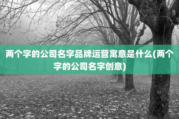 两个字的公司名字品牌运营寓意是什么(两个字的公司名字创意)