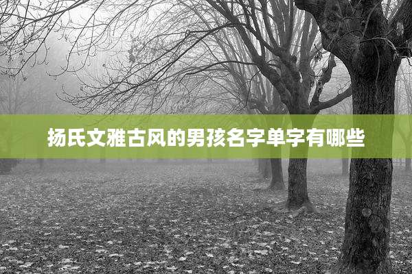 扬氏文雅古风的男孩名字单字有哪些