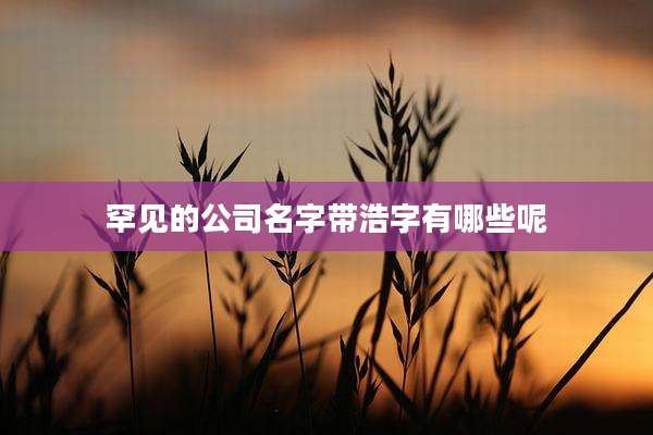 罕见的公司名字带浩字有哪些呢