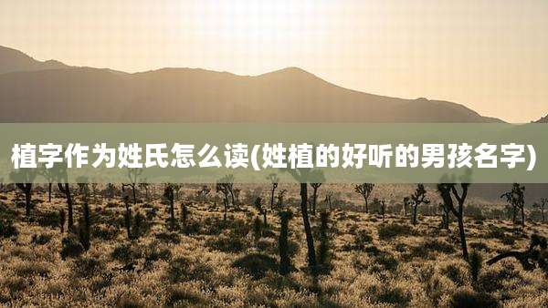 植字作为姓氏怎么读(姓植的好听的男孩名字)