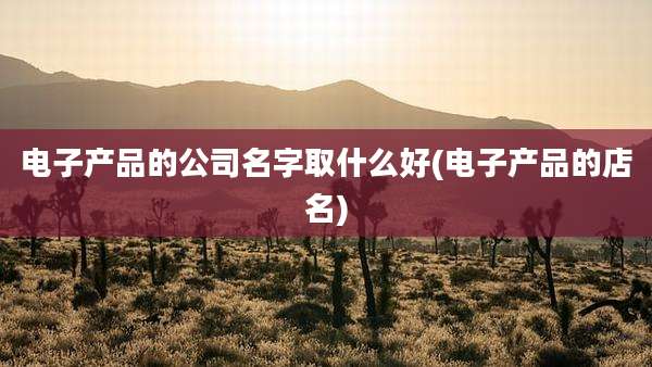 电子产品的公司名字取什么好(电子产品的店名)