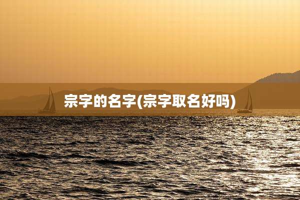 宗字的名字(宗字取名好吗)