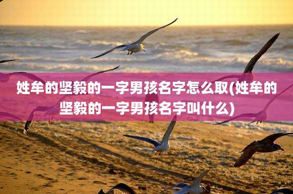 姓牟的坚毅的一字男孩名字怎么取(姓牟的坚毅的一字男孩名字叫什么)
