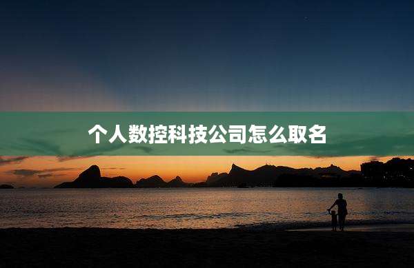 个人数控科技公司怎么取名