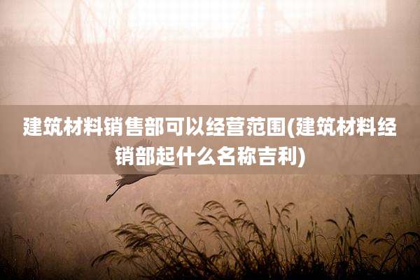 建筑材料销售部可以经营范围(建筑材料经销部起什么名称吉利)