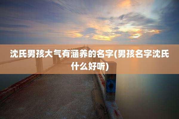 沈氏男孩大气有涵养的名字(男孩名字沈氏什么好听)