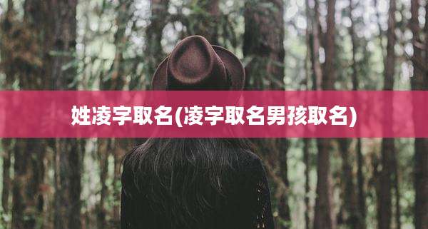 姓凌字取名(凌字取名男孩取名)